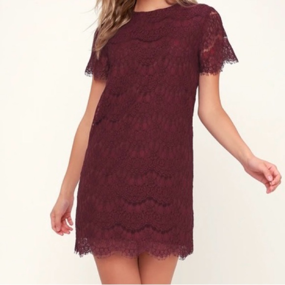 Take Me to Brunch Burgundy Lace Shift Dress Size M (Medium)